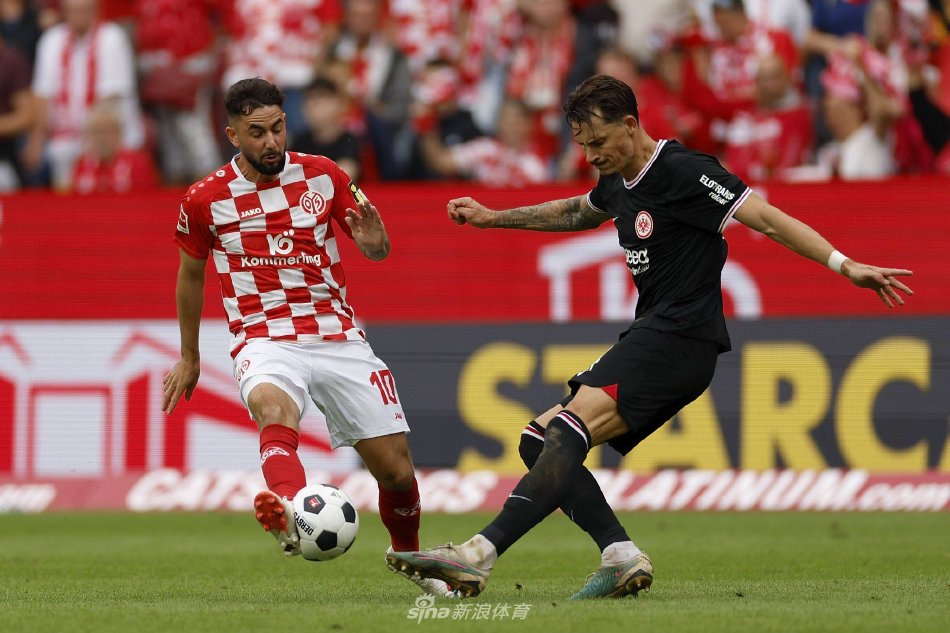 支持里贝里 支持里贝里